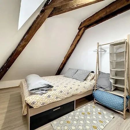 公寓 Duplex Au Coeur Vosgien 3 沙尔姆