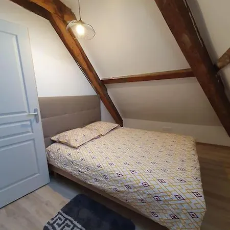 Duplex Au Coeur Vosgien 3 公寓 沙尔姆