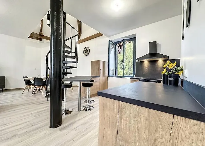 Duplex Au Coeur Vosgien 3 *